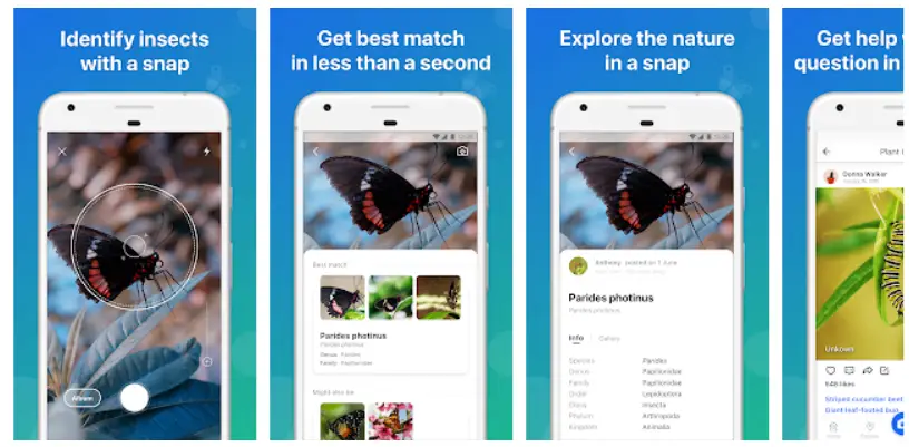 Aplicaciones para identificar insectos